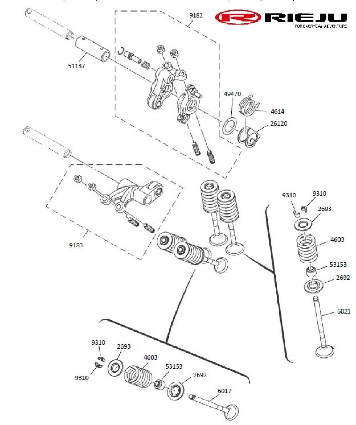 VyI4H7sY3a_lamina-valvulas-6362183a47c1d (1).jpg